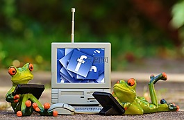 青蛙,計(jì)算機(jī),facebook