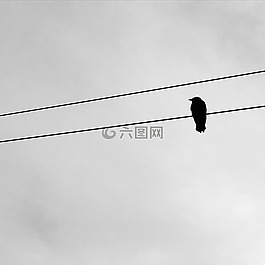 线,圆顶的天空,电力