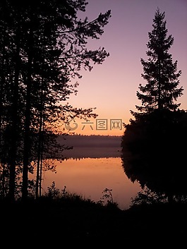 夜,森林,河