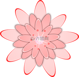 雏菊,flowerpink,花的