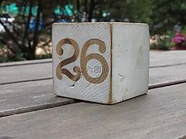 數(shù),木材,木