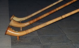 alphorn,角,仪器