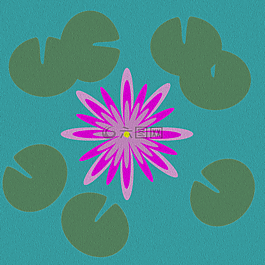 蓮花,花,禪宗