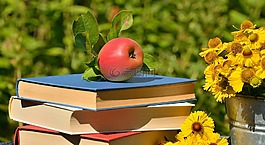 蘋果,圖書,花園