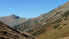 大自然,小山,國家