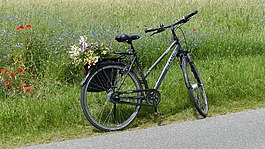 輪,自行車,更多