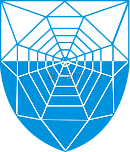 蜘蛛,web,外套