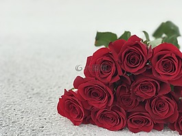 玫瑰,沙,白