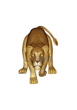 獅子,母獅,動(dòng)物