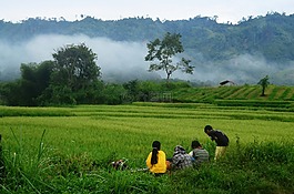 现场大米,孩子们,山