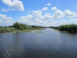 nieuwkoopseplassen,水,性质