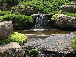 大瀑布,苔,水