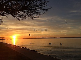 巴拉頓湖,日落,木材