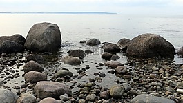 海灘,水,貽貝