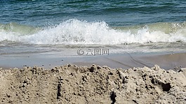 海灘,水,貽貝
