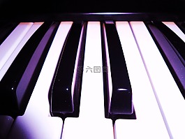 鋼琴,器官,鍵盤