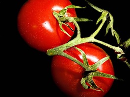 食品,蔬菜,成長(zhǎng)