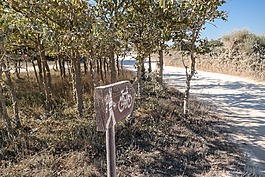 標志,自行車,頁腳