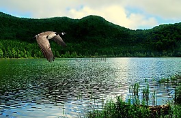湖,山,植被