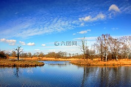 池塘,云,湖
