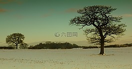 景觀,冬天,冬季景觀