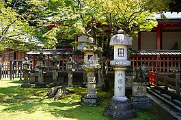 京都,风景,寺庙