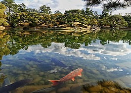 日本,花園,池