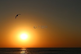 日出,水,太阳