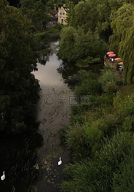 雅芳,天鵝家族,英格蘭