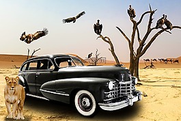 車輛,oldtimer,凱迪拉克