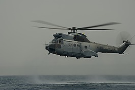 法國空軍,美洲獅,直升機(jī)
