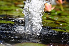 水,池,異國(guó)情調(diào)