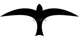 鳥,飛行,側(cè)影