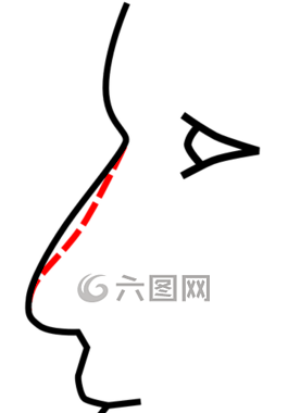 头,人类,鼻子