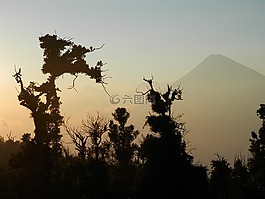 老,危地马拉,中美洲