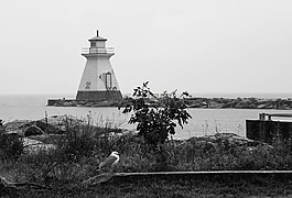 黑色和白色,燈塔,湖