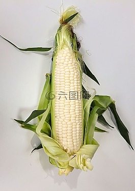 食品,玉米,錐