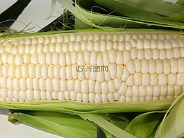 玉米,錐,食品