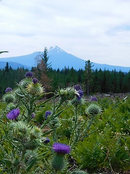 山,麥克拉克林,俄勒岡州南部
