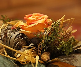 羅莎,花,花瓣