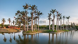 查看,全景,景觀