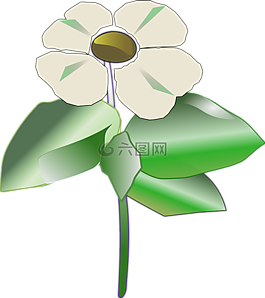 花,植物,葉子