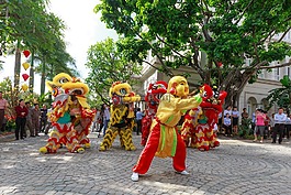 跳,獅子,年