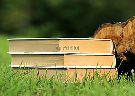 书籍,阅读,研究