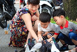 孩子們,女孩,女士