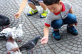 孩子們,女孩,女士