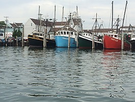 釣魚,船只,海港