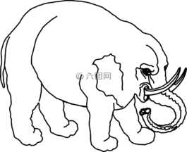 象,動物,哺乳動物