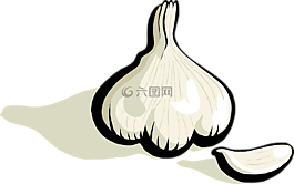 大蒜,植物,蔬菜