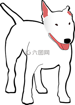 狗,寵物,動(dòng)物